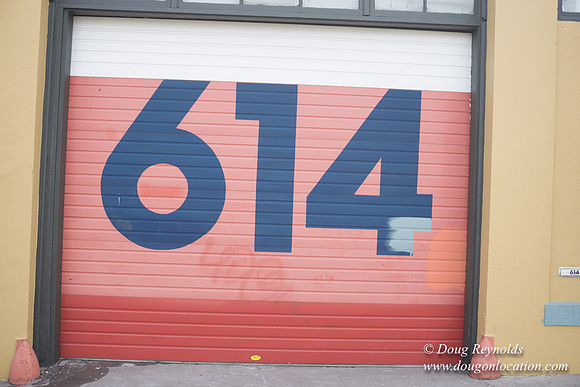 Polara Garage Door