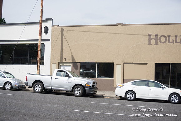 Polara Garage Door