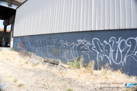 Rose's Graffiti Wall