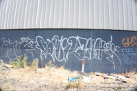 Rose's Graffiti Wall