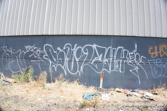Rose's Graffiti Wall