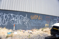 Rose's Graffiti Wall