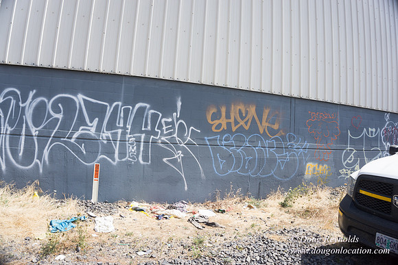 Rose's Graffiti Wall
