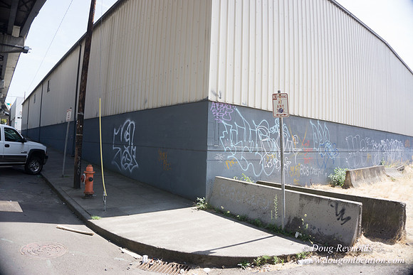 Rose's Graffiti Wall