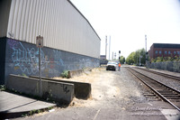 Rose's Graffiti Wall