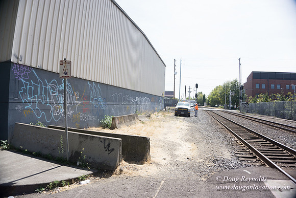 Rose's Graffiti Wall