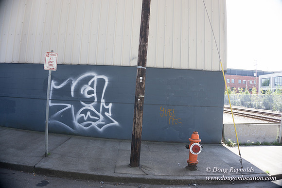 Rose's Graffiti Wall