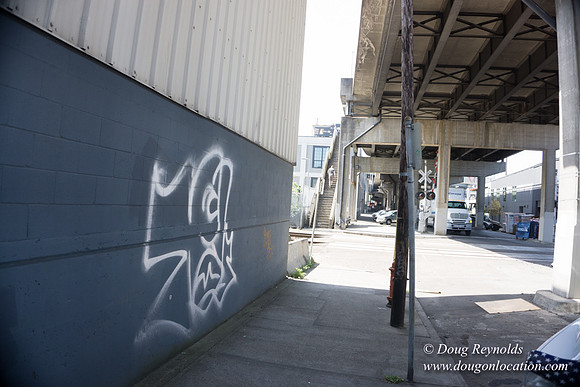 Rose's Graffiti Wall