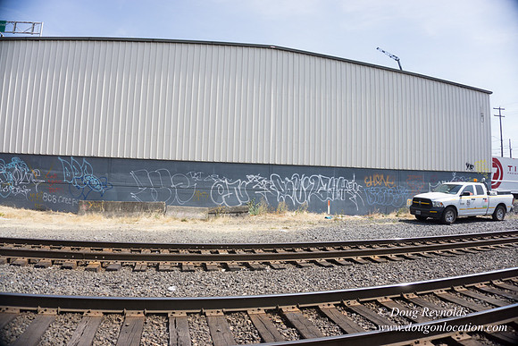 Rose's Graffiti Wall
