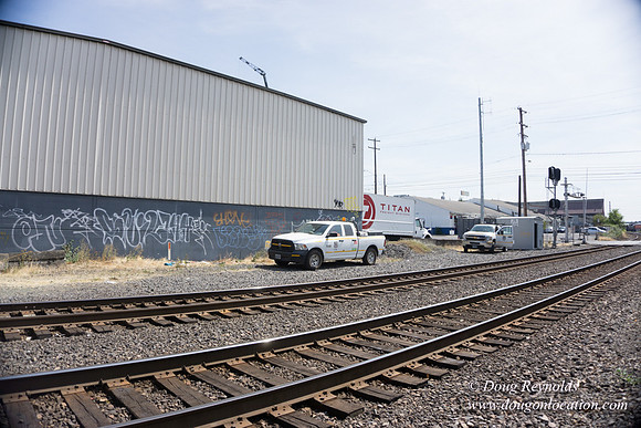 Rose's Graffiti Wall