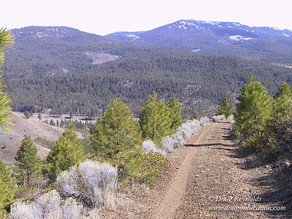 Ranch 7
