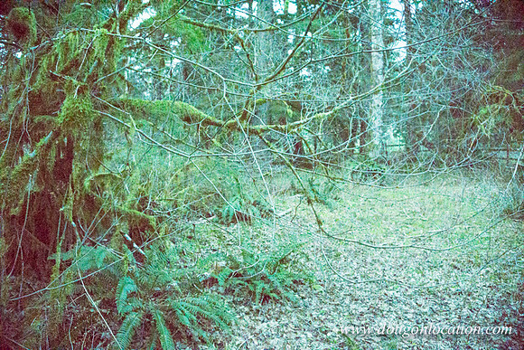Adams Farm-3133