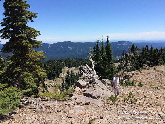 Mt Hood