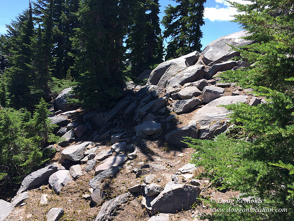 Mt Hood