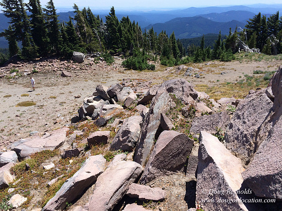 Mt Hood