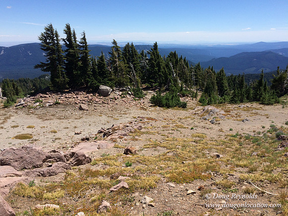 Mt Hood