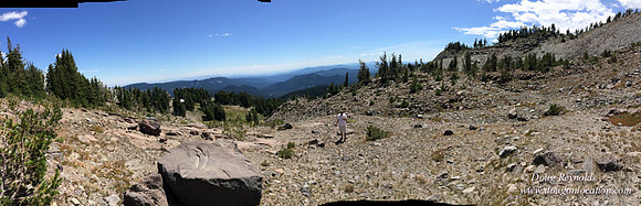 Mt Hood