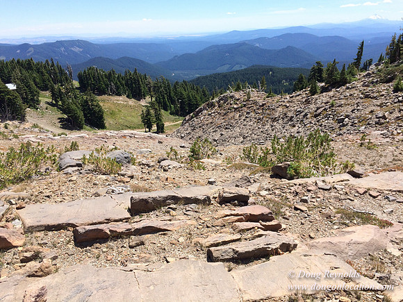 Mt Hood