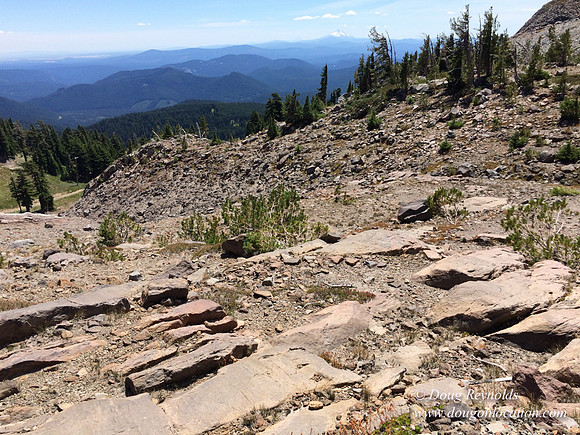 Mt Hood