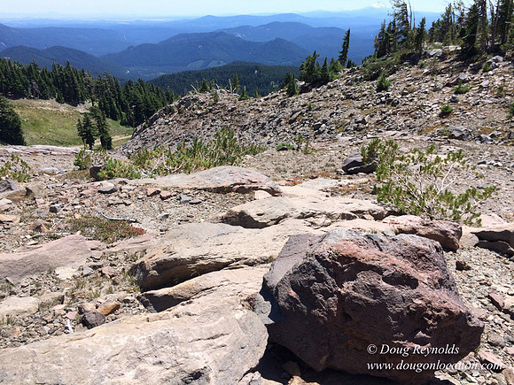 Mt Hood