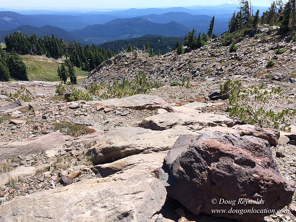 Mt Hood