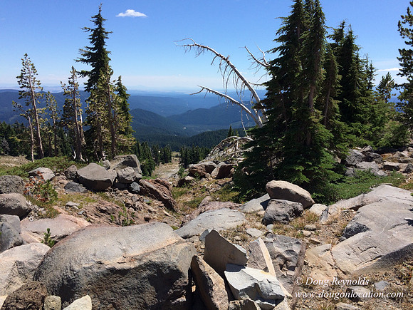 Mt Hood