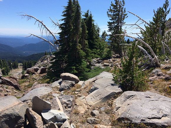 Mt Hood