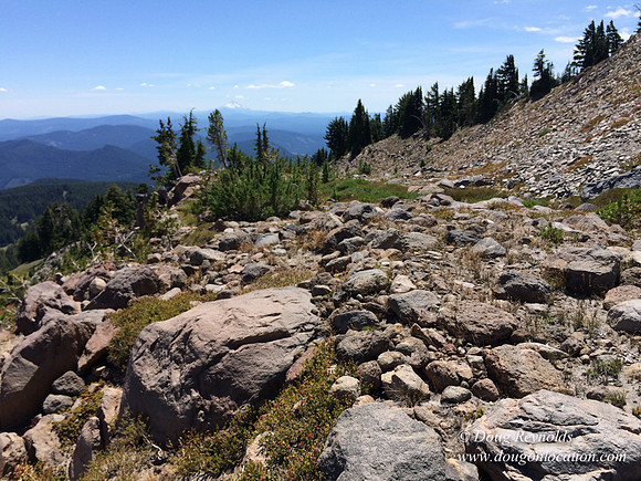 Mt Hood
