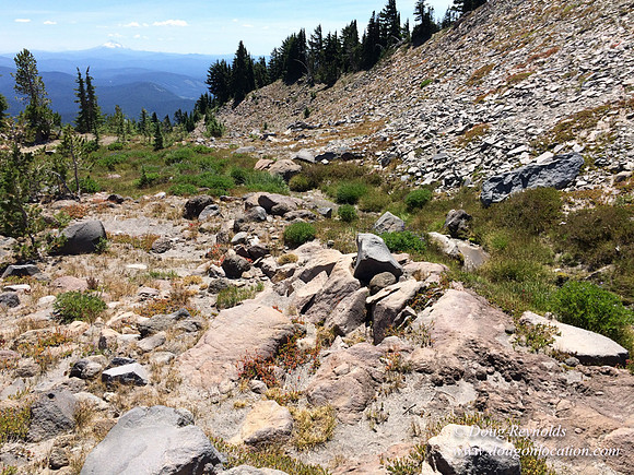 Mt Hood