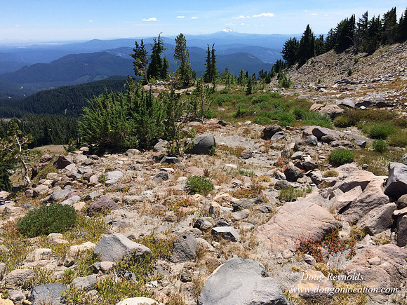Mt Hood