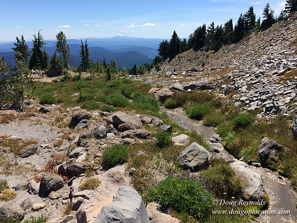 Mt Hood