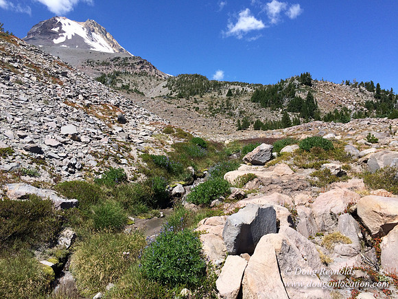 Mt Hood