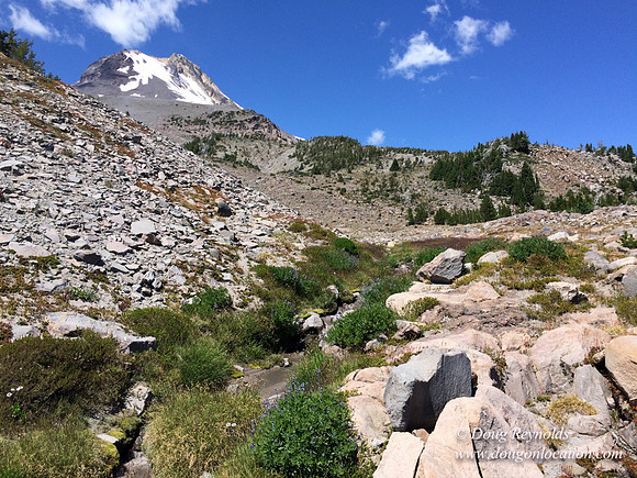 Mt Hood
