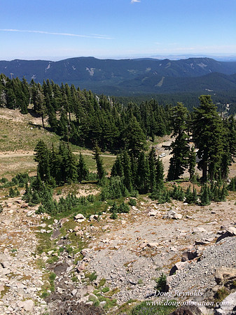 Mt Hood