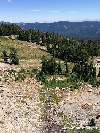 Mt Hood