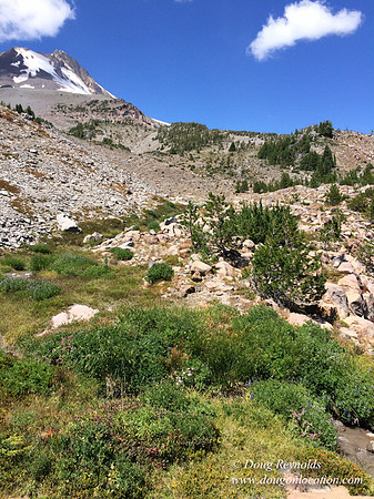 Mt Hood