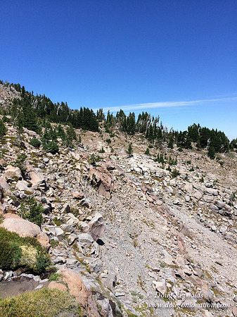Mt Hood