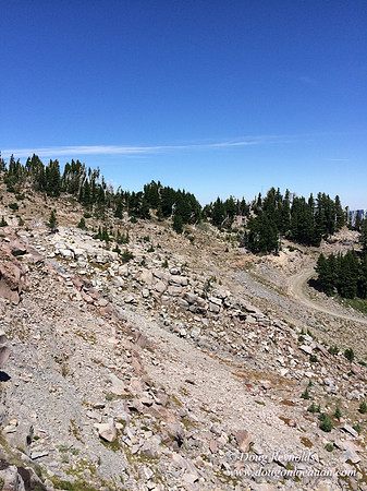 Mt Hood