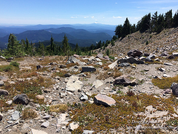 Mt Hood