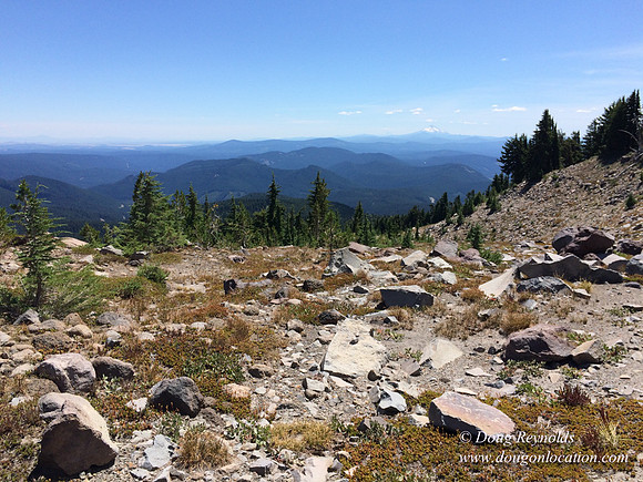 Mt Hood