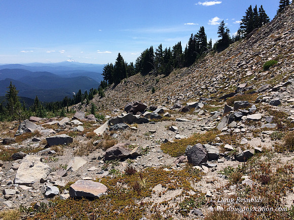 Mt Hood