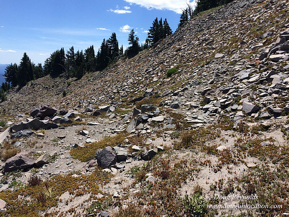 Mt Hood