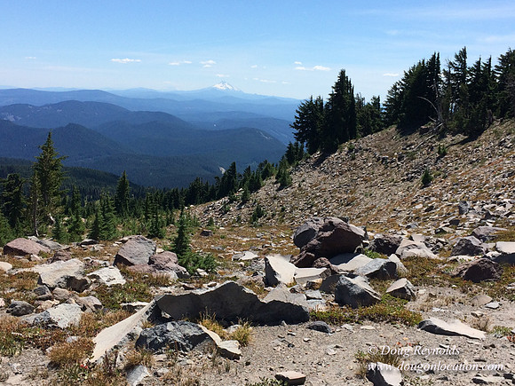 Mt Hood