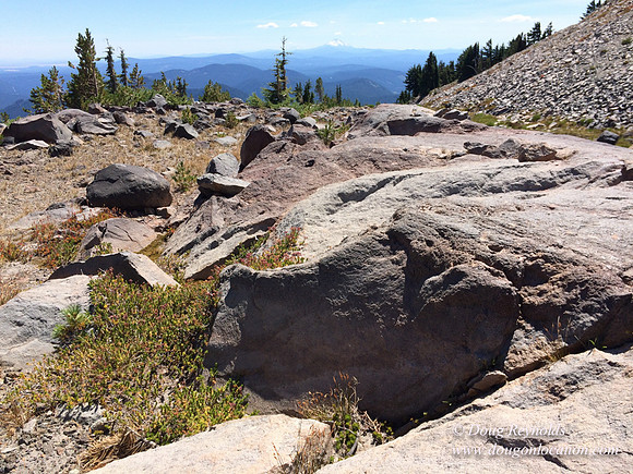 Mt Hood