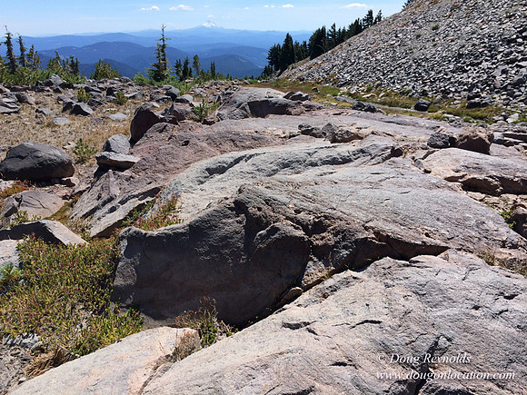 Mt Hood