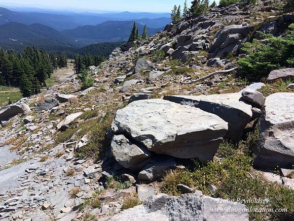 Mt Hood
