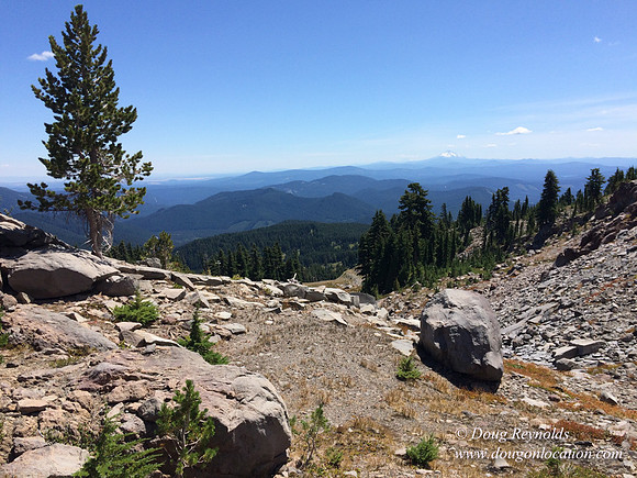 Mt Hood