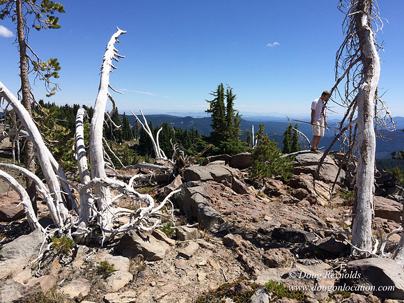 Mt Hood