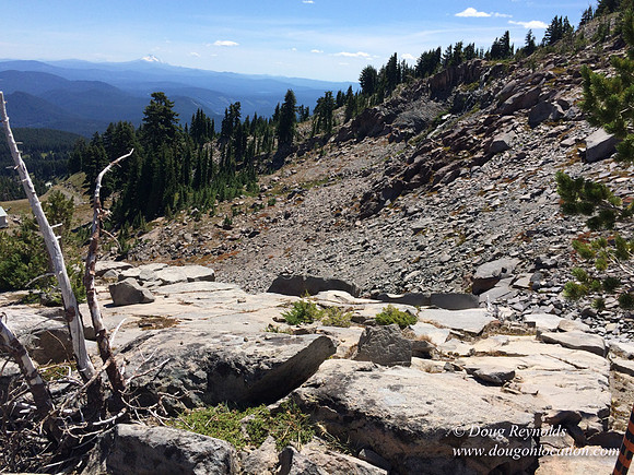Mt Hood