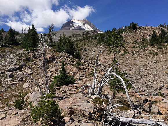 Mt Hood